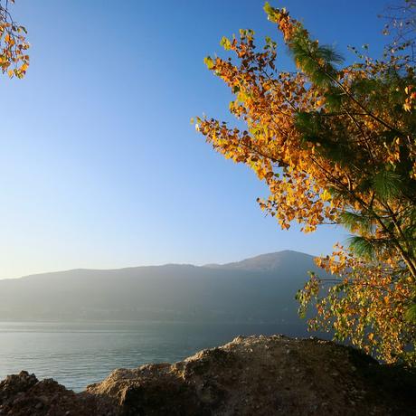 L'autunno dovrebbe durare otto mesi