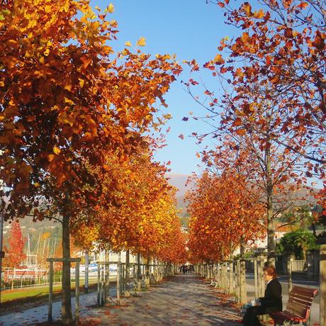 L'autunno dovrebbe durare otto mesi