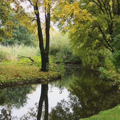 L'autunno dovrebbe durare otto mesi
