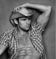 Recensione in Anteprima di Stelle e Strisce di Abigail Roux