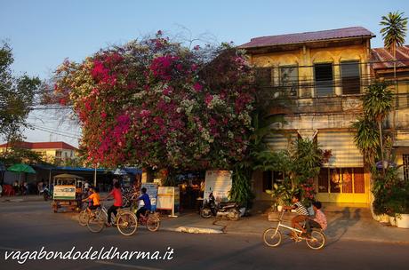 kampot