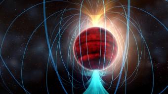 Lo straordinario campo magnetico di una nana rossam nel rendering di un artista.