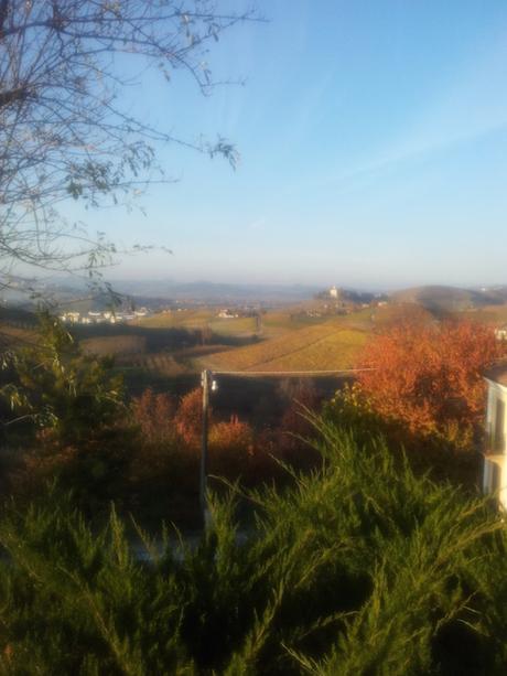 Trekking nelle Langhe piemontesi: un paesaggio di… vino