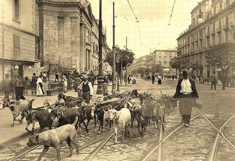 Via Foria- Marittone Antonella