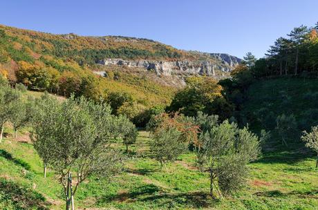 Val Rosandra - su e giù per i calcari con il mare all'orizzonte