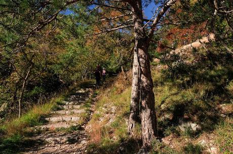 Val Rosandra - su e giù per i calcari con il mare all'orizzonte