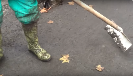 E a Via Arenula il guano degli storni si spala con la vanga. L'abbandono che crea schifo e disgusto