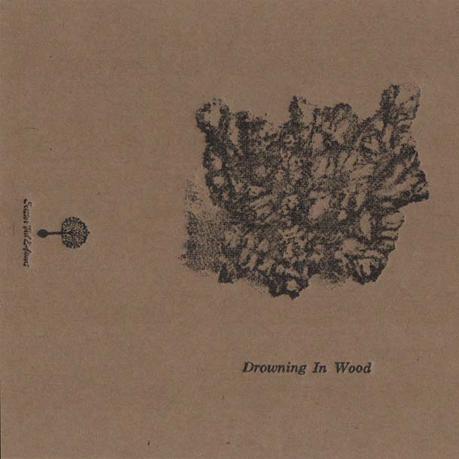 DROWNING IN WOOD, S/t