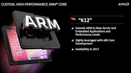 Quale futuro per AMD?