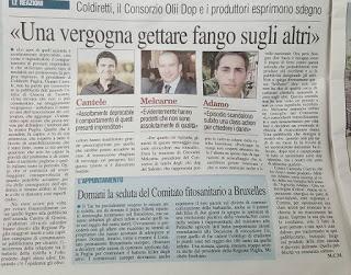 Xylella 22 novembre 2015