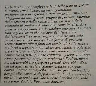 Xylella 22 novembre 2015