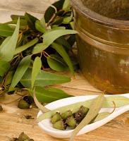 Apparato respiratorio: prevenzione, cura e depurazione