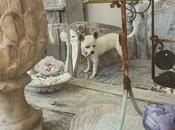 B&amp;B Casetta Shabby Accademy