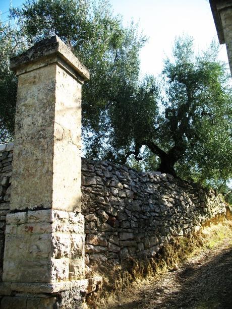 Un antico ingresso al frantoio mostra ancora il passaggio dei carretti