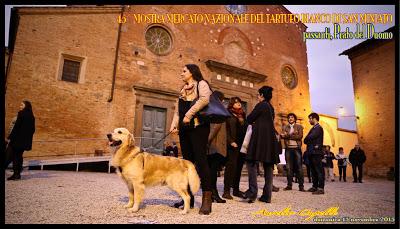 la prima domenica del tartufo a San Miniato