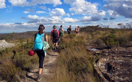 Bushwalking (Photo credit: Bushwalking Org NSW)