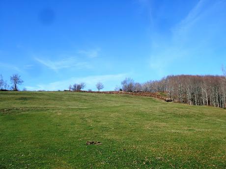 Trekking su Appennino Romagnolo tra Bagno di Romagna  e Alfero - 12 Novembre 2015