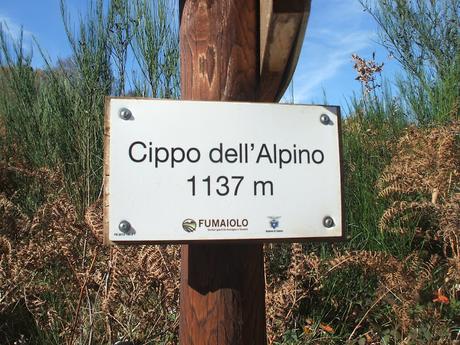 Trekking su Appennino Romagnolo tra Bagno di Romagna  e Alfero - 12 Novembre 2015