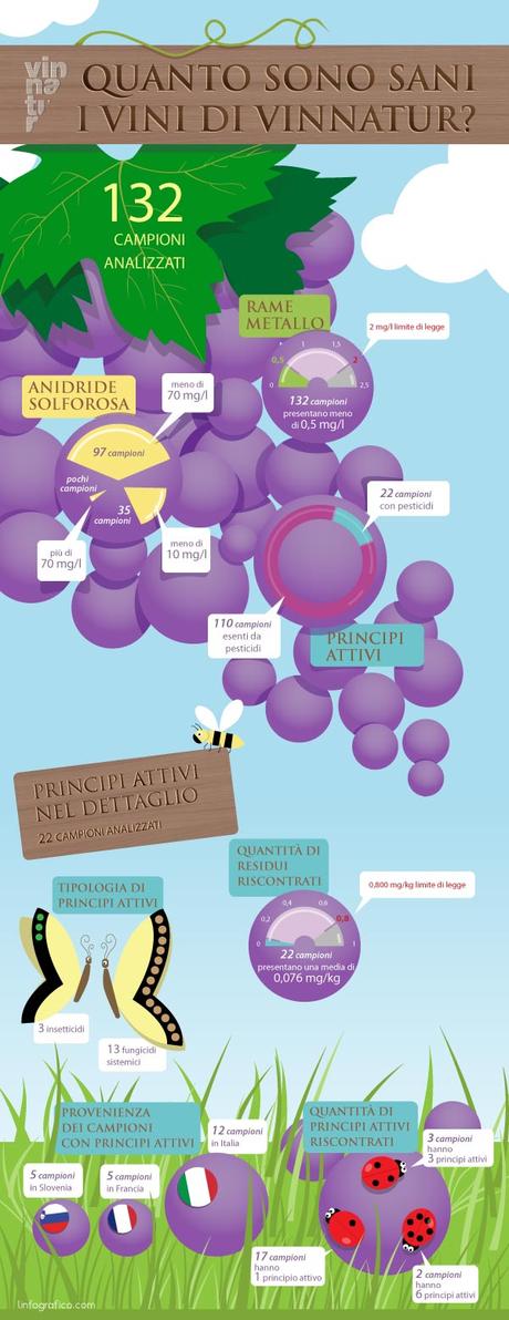 Produrre vino in maniera naturale significa agire con una profonda etica ambientale.