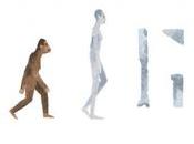 doodle Google anni dalla scoperta Lucy
