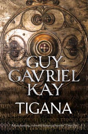 Guy Gavriel Kay: Tigana. Come una spada nell’anima