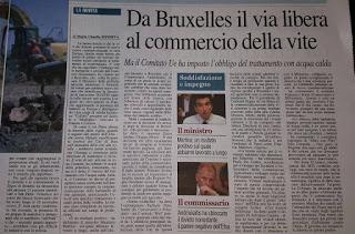 Xylella 24 novembre 2015