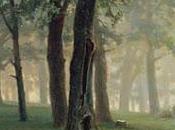 Anteprima: “Nel bosco” Thomas Hardy
