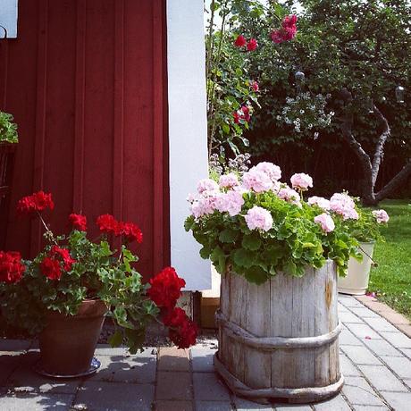 Uno chalet di campagna in Svezia