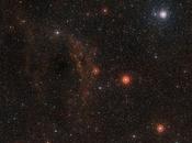 vecchia stella gigante dieta