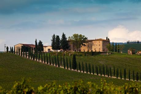 IL CASALE DELLO SPARVIERO ED I SUOI VINI