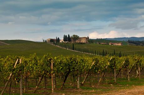 IL CASALE DELLO SPARVIERO ED I SUOI VINI