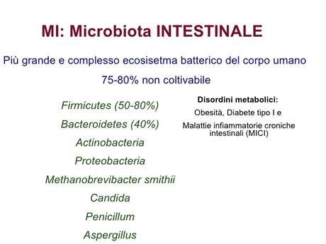 Le metropoli microbiche nell'uomo e le implicazioni con la salute