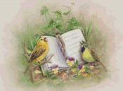 Schema punto croce: Quadretto_4