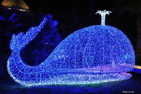 Salerno, Luci D'Artista