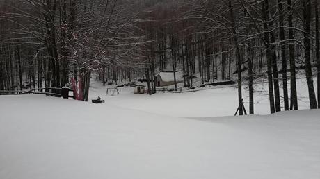 Impressioni di novembre