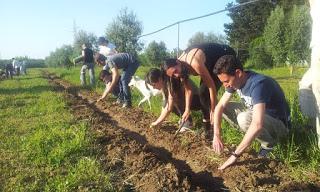 premio da 70mila euro per i giovani in agricoltura