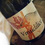 Slow Wine a Forlì, il vino protagonista