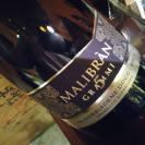 Slow Wine a Forlì, il vino protagonista