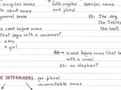 definite indefinite articles