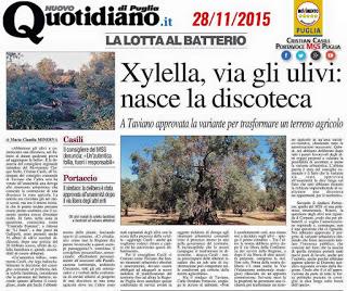 Xylella 28 novembre 2015