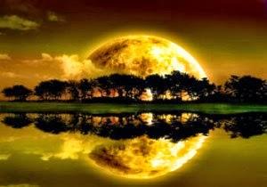 Il luogo della non pietà