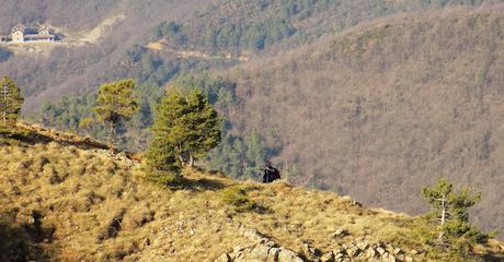 Il Tobbio dagli Eremiti