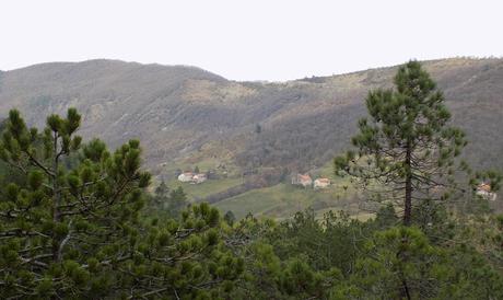 Il Tobbio dagli Eremiti