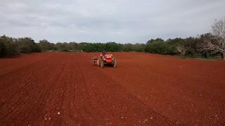 Semina farro e grano del 27 novembre 2015