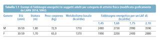 Dieta e bilancio energetico