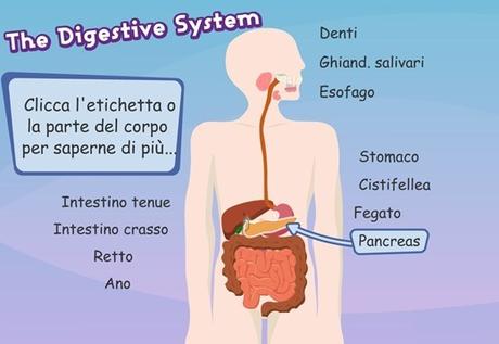 digerente