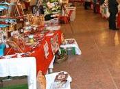 PAVIA. Vetrina Aperta Ateneo Natale solidarietà.