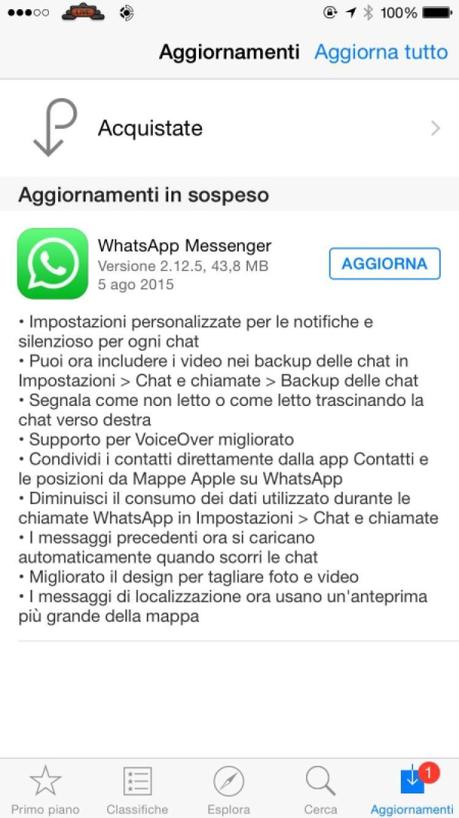 WhatsApp iOS – Arriva un nuovo aggiornamento che porta alcune novità [Aggiornato x8 Vers. 2.12.12]