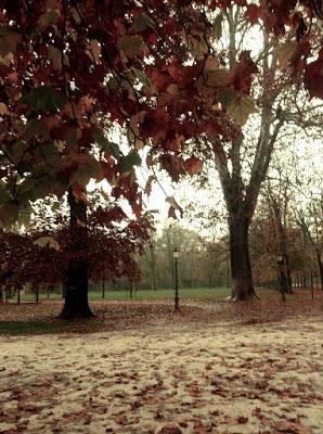 Novembre, flâneuse a Parma