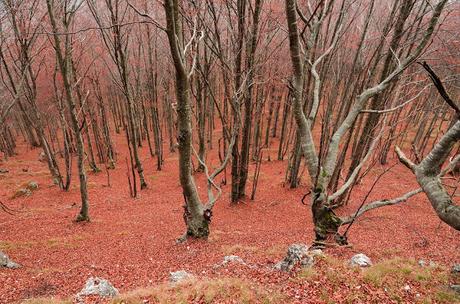 PALIS D'ARINT :- a spasso sulle nuvole